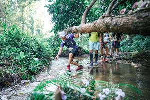 BIB: 
                            <button type="button" onclick="openModal(25450449)" class="btn btn-primary btn-sm float-right btn-popup" data-toggle="modal" data-target=".modal-high-quality">
                        <i class="fas fa-shopping-cart"></i> Add to Cart
                    </button>
                                            <button type="button" onclick="isThisMe(25450449, true)" class="btn btn-success btn-sm float-right btn-popup btn-isme hidden" data-toggle="tooltip" data-placement="bottom" title="นี่คือรูปของคุณใช่ไหม คลิกที่นี่เพื่อเอาเข้าอัลบั้ม">
                        <i class="fas fa-plus"></i> Add to album
                    </button>
                    <button type="button" onclick="isThisMe(25450449, false)" class="btn btn-warning btn-sm float-right btn-popup btn-isnotme hidden">
                        <i class="fas fa-ban"></i> Remove from album
                    </button>